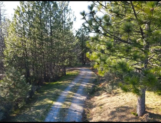 a view of a refrigerator in kitchen and a windows