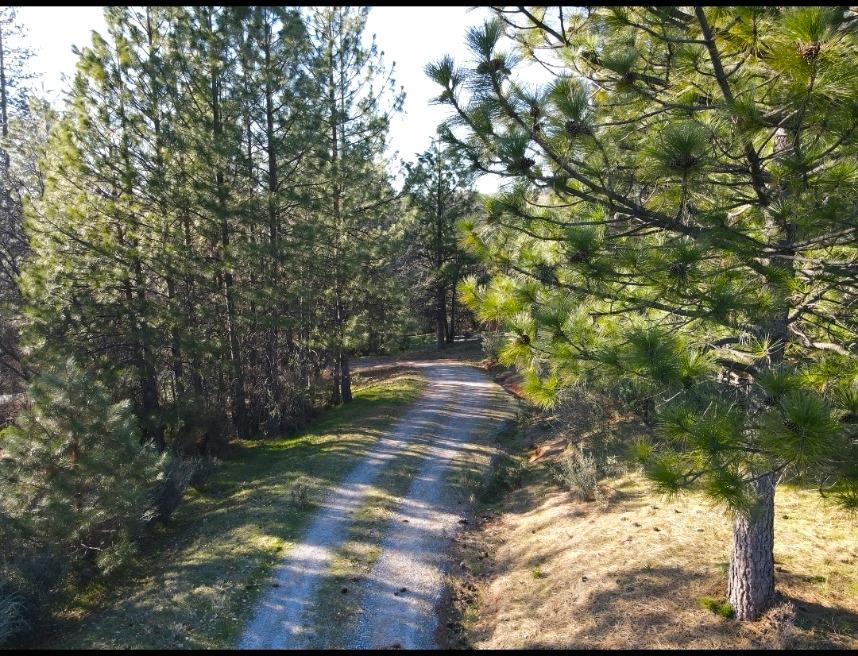 2805 Mason Road Rail Road Flat, CA 95248 - Photo 8 of 75