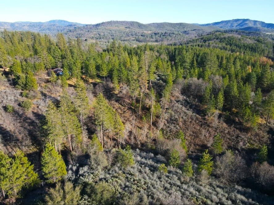 2805 Mason Road Rail Road Flat, CA 95248 - Photo 9 of 75