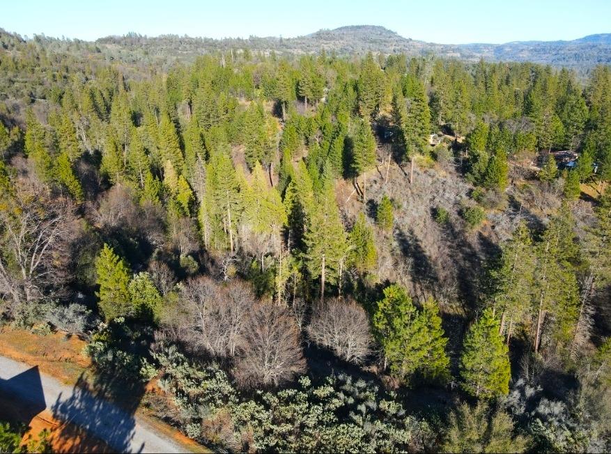 2805 Mason Road Rail Road Flat, CA 95248 - Photo 10 of 75