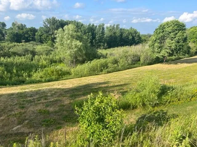 $64,900 | 113 Par Drive, Albany, MN 56307