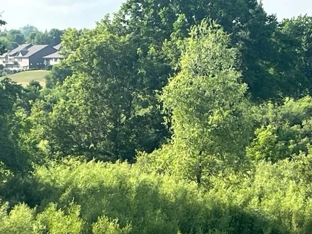 $64,900 | 113 Par Drive, Albany, MN 56307