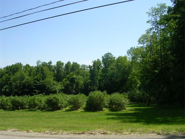 10 Edwards Road Westhampton, MA 01027 - Photo 3 of 4