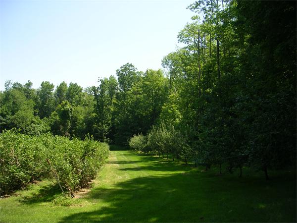 10 Edwards Road Westhampton, MA 01027 - Photo 4 of 4