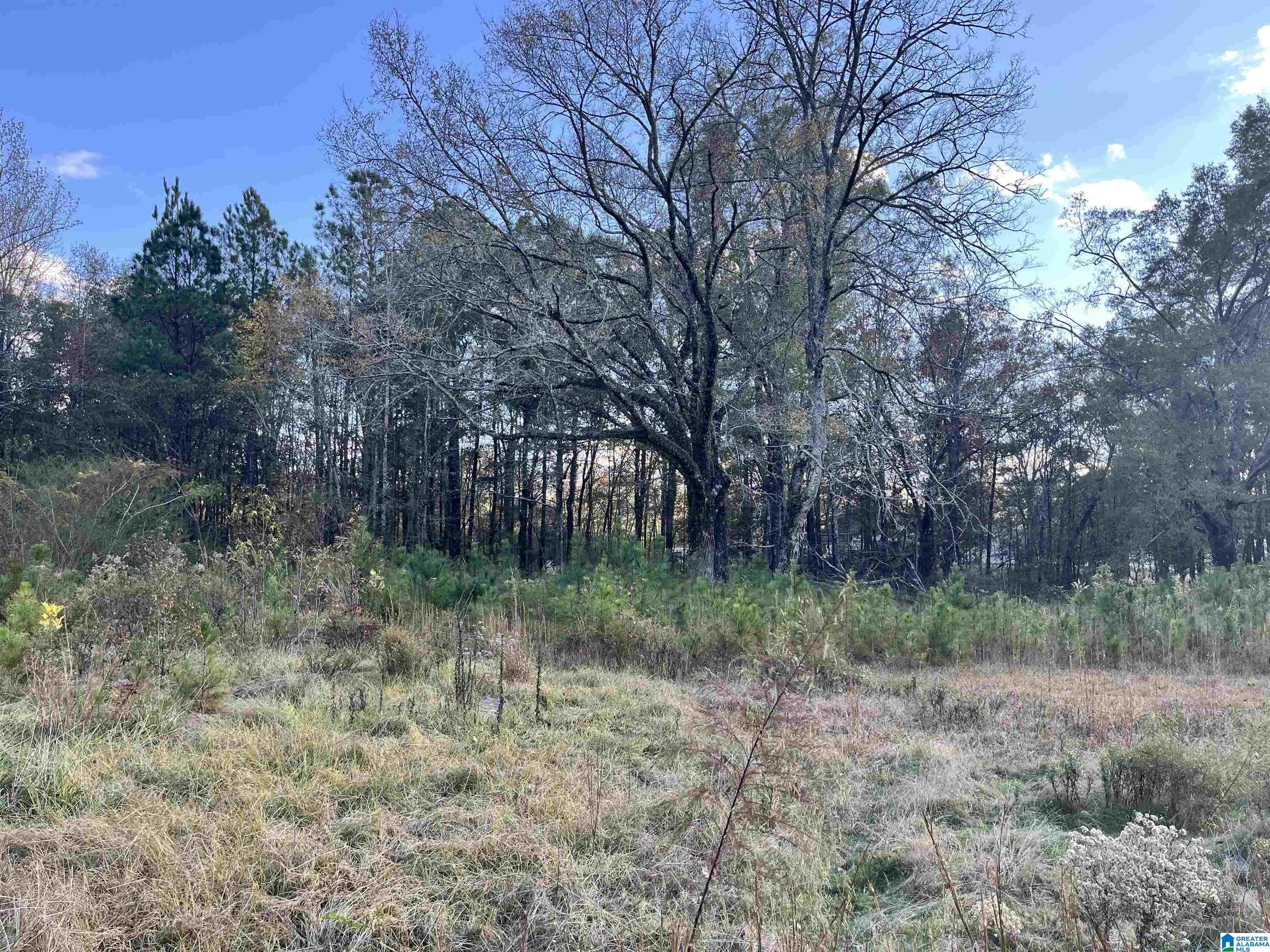 1720 Pleasant Valley Road, Unit 1 Pell City, AL 35125 - Photo 11 of 16