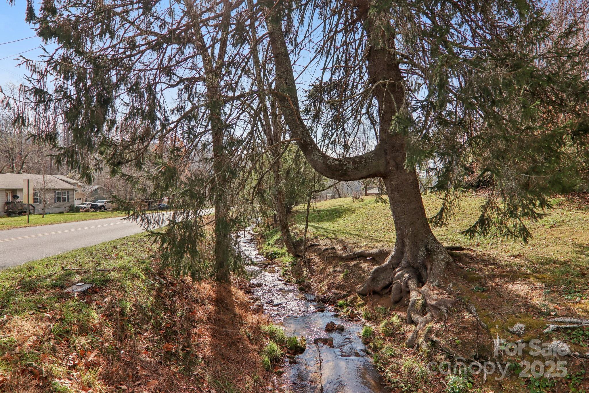 301 Parris Branch Road Sylva, NC 28779 - Photo 28 of 30 a view of a yard with large trees