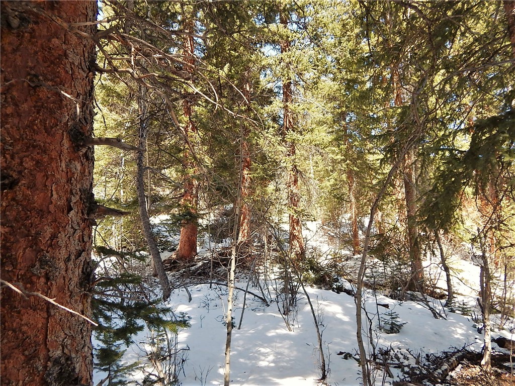 589 Mine Dump Road Alma, CO 80420 - Photo 7 of 26 Gallery Image 7
