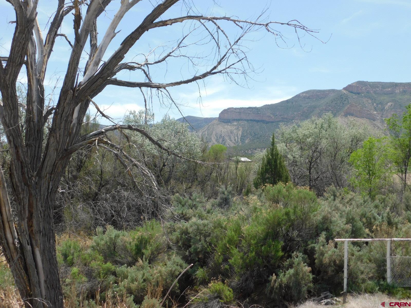 24215 Rd East Cortez, CO 81321 - Photo 33 of 35 Gallery Image 33