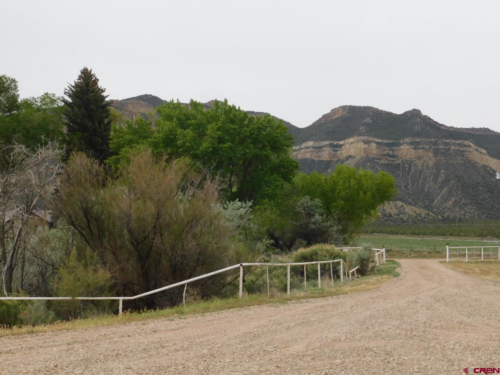 24215 Rd East Cortez, CO 81321 - Photo 10 of 35 Gallery Image 10