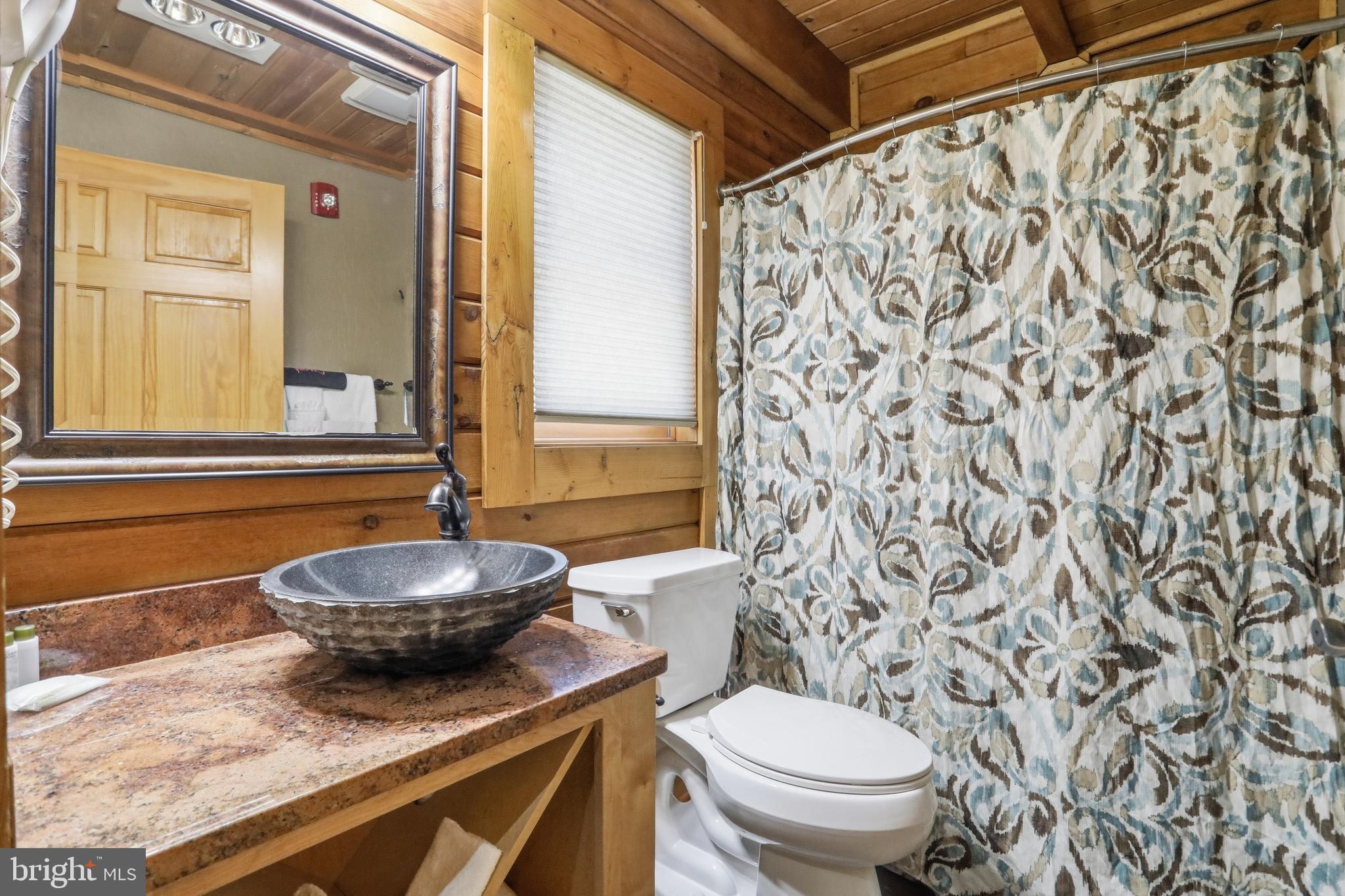211 Cabin Lodge Road McHenry, MD 21541 - Photo 26 of 32