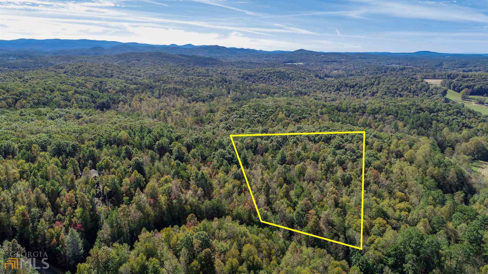 0 East Ridge Lane Ellijay, GA 30536 - Photo 1 of 1 a view of a forest with a forest
