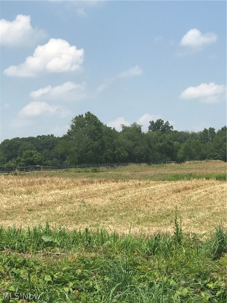 Ickes Road Wooster, OH 44691 - Photo 1 of 1 Gallery Image 1