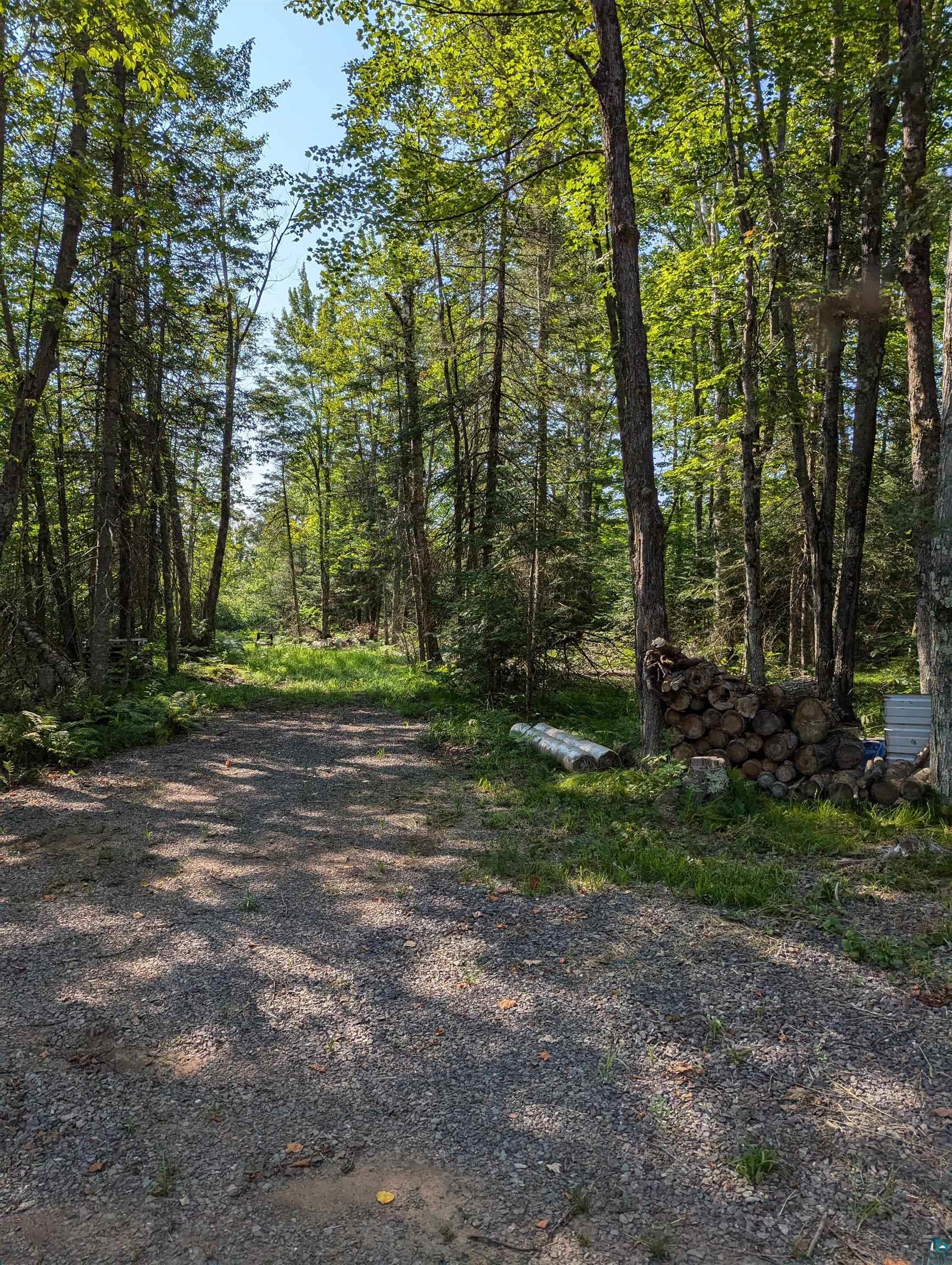 2279 East Summit Trail Summit, WI 54836 - Photo 5 of 7 View of street
