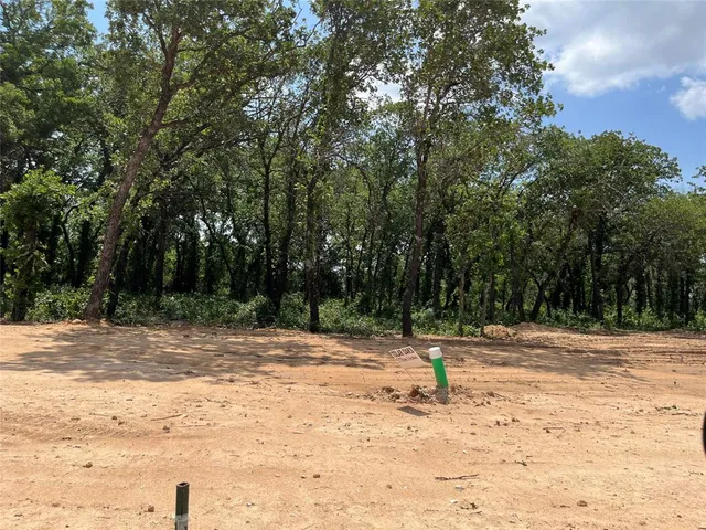 a wooden view of a tree with a yard