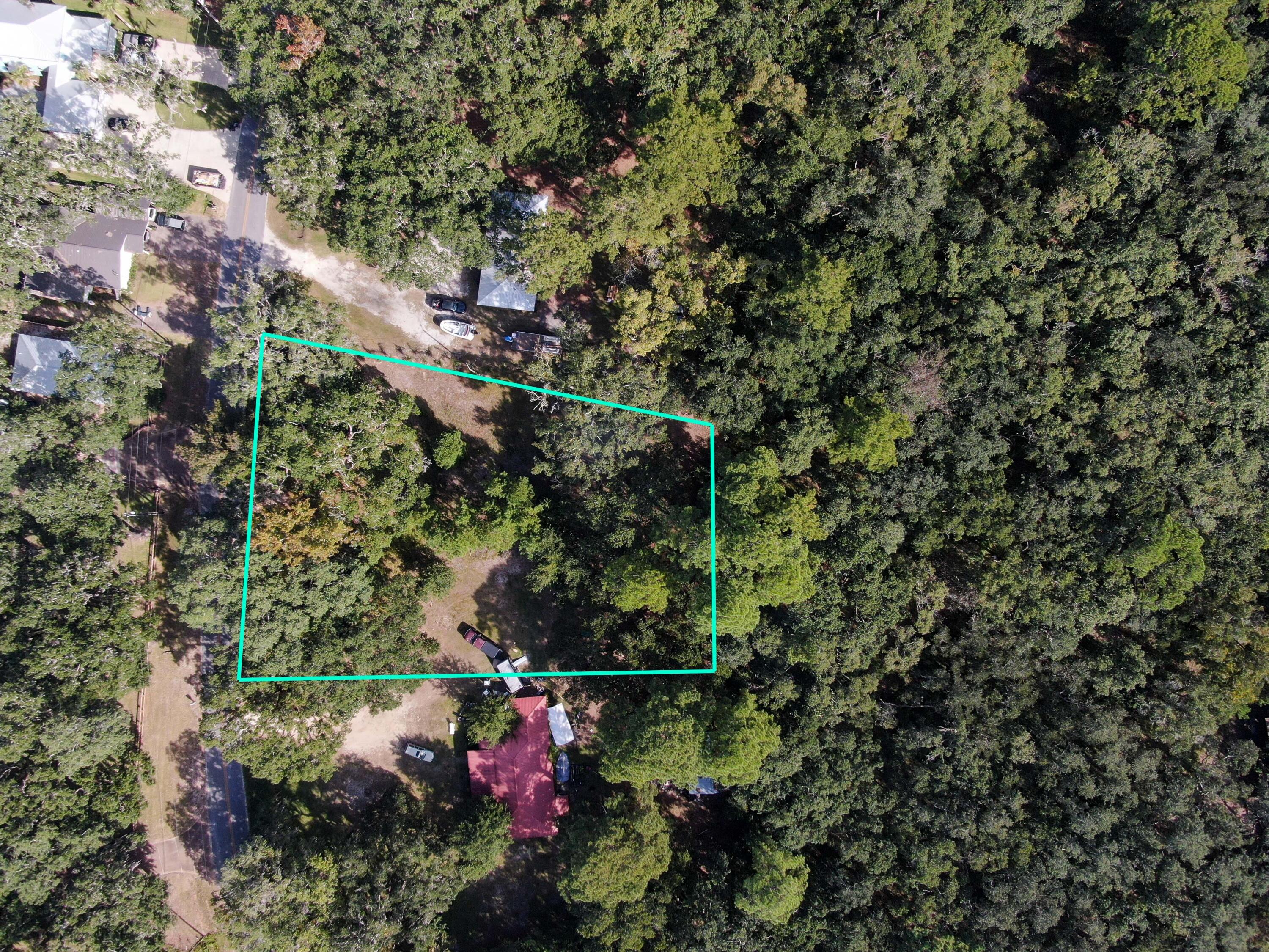 Xxx Bay Grove Road Freeport, FL 32439 - Photo 3 of 10 a view of a tree with a tree