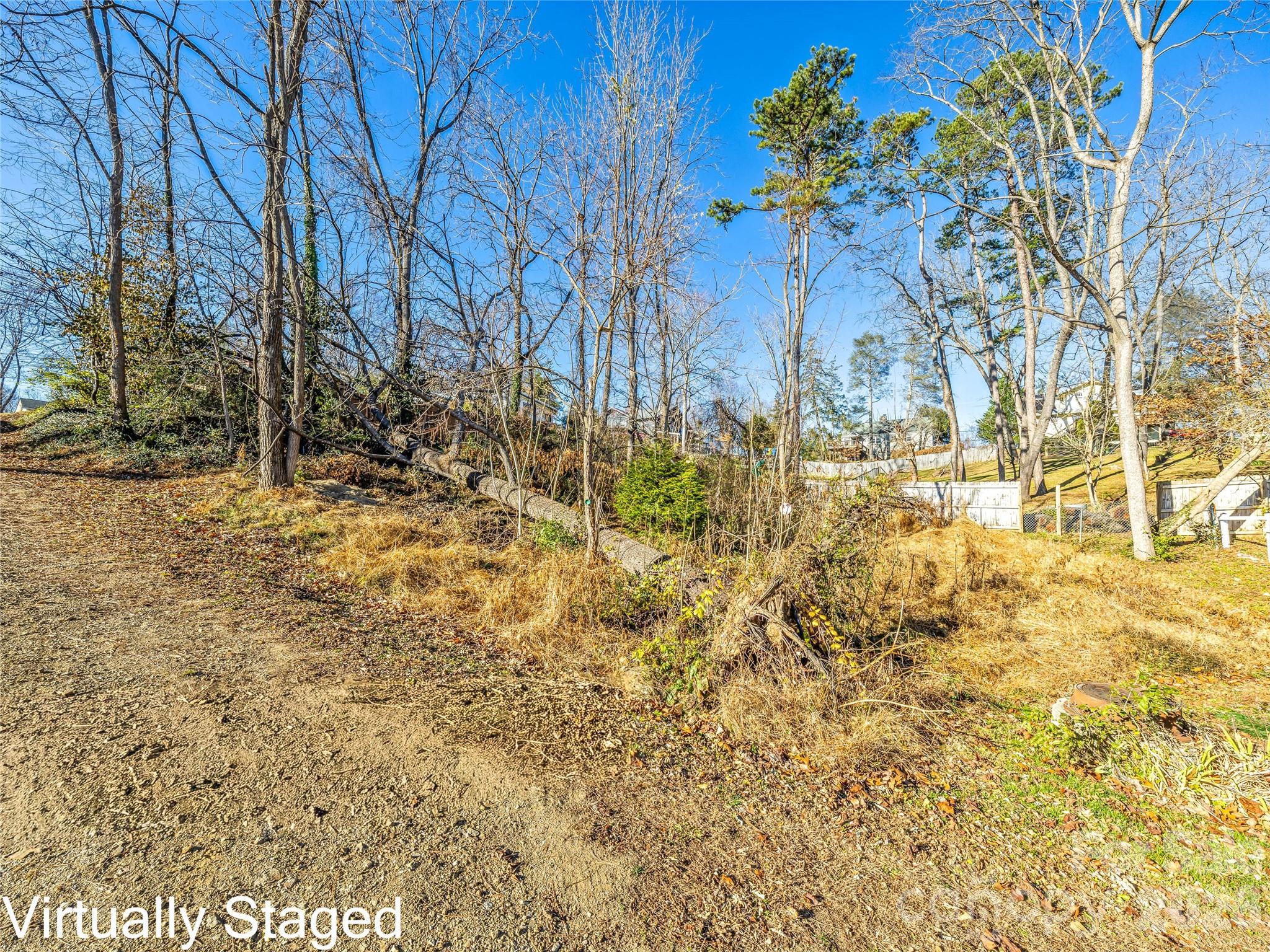 10 Ridge Avenue Asheville, NC 28803 - Photo 33 of 33 a view of a yard with large trees
