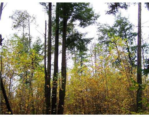 700 Butterfield Ridge Road Lincoln, ME 04457 - Photo 8 of 12 Land/Lot.