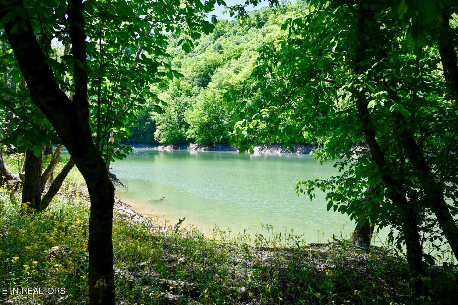 Lot 121 Towncreek Road Speedwell, TN 37870 - Photo 14 of 32 6a2dd1bab38f4