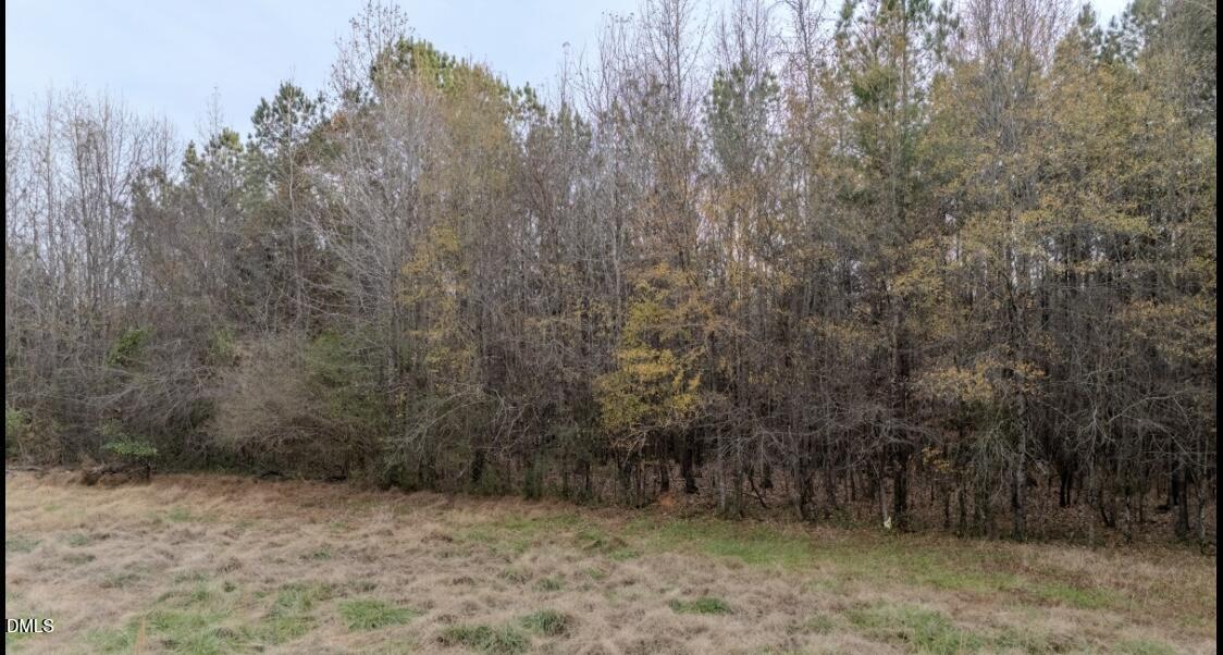 Lot 4 Enon Road Oxford, NC 27565 - Photo 7 of 10 IMG_1964