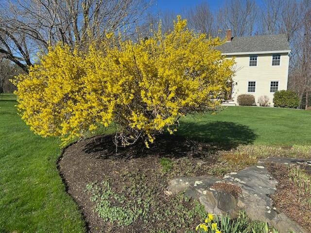 8 Oak Ridge Drive Standish, ME 04084 - Photo 50 of 50 IMG_2685
