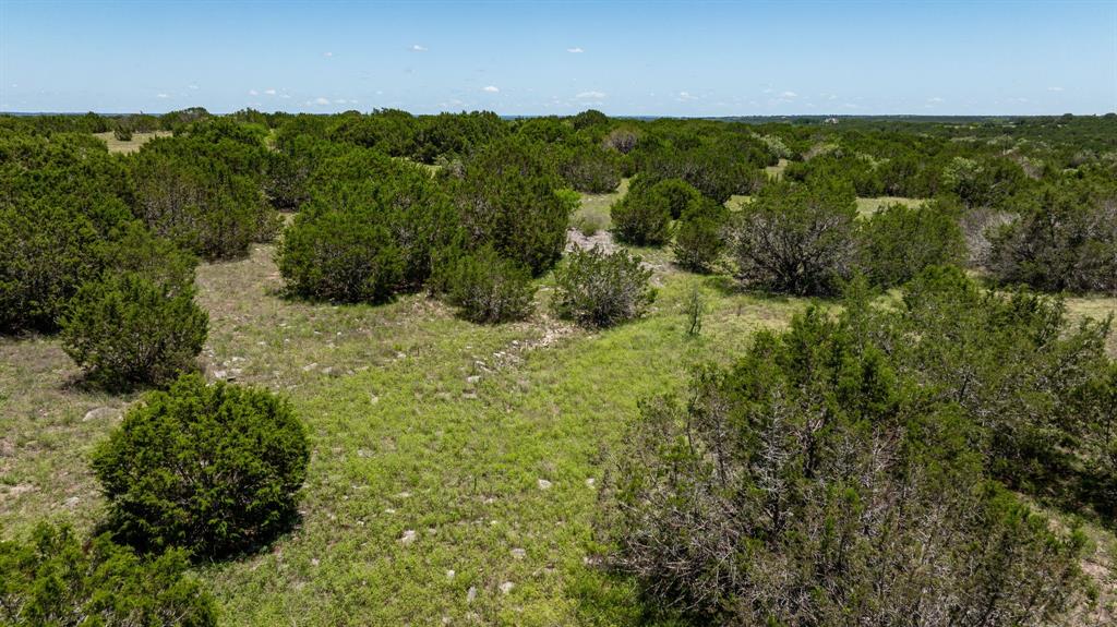 Tbd Tbd Mesa Ridge Road Hamilton, TX 76531 - Photo 10 of 28 a view of a lush green forest with houses