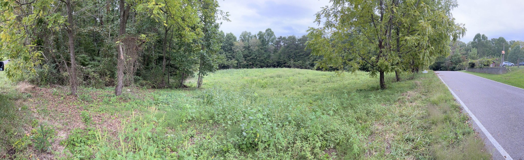 4 Lewis Wilson Road Spencer, TN 38585 - Photo 2 of 10 a view of outdoor space and yard