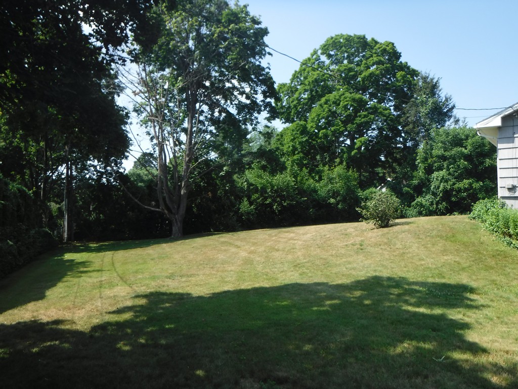 40 Bemis Road Holyoke, MA 01040 - Photo 27 of 29 a view of a tree with a yard