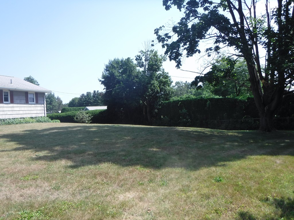 40 Bemis Road Holyoke, MA 01040 - Photo 28 of 29 a view of yard with green space