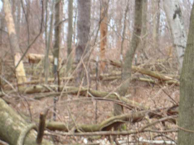 Vl Hough Road Dryden, MI 48428 - Photo 18 of 29 31082677-17.JPG