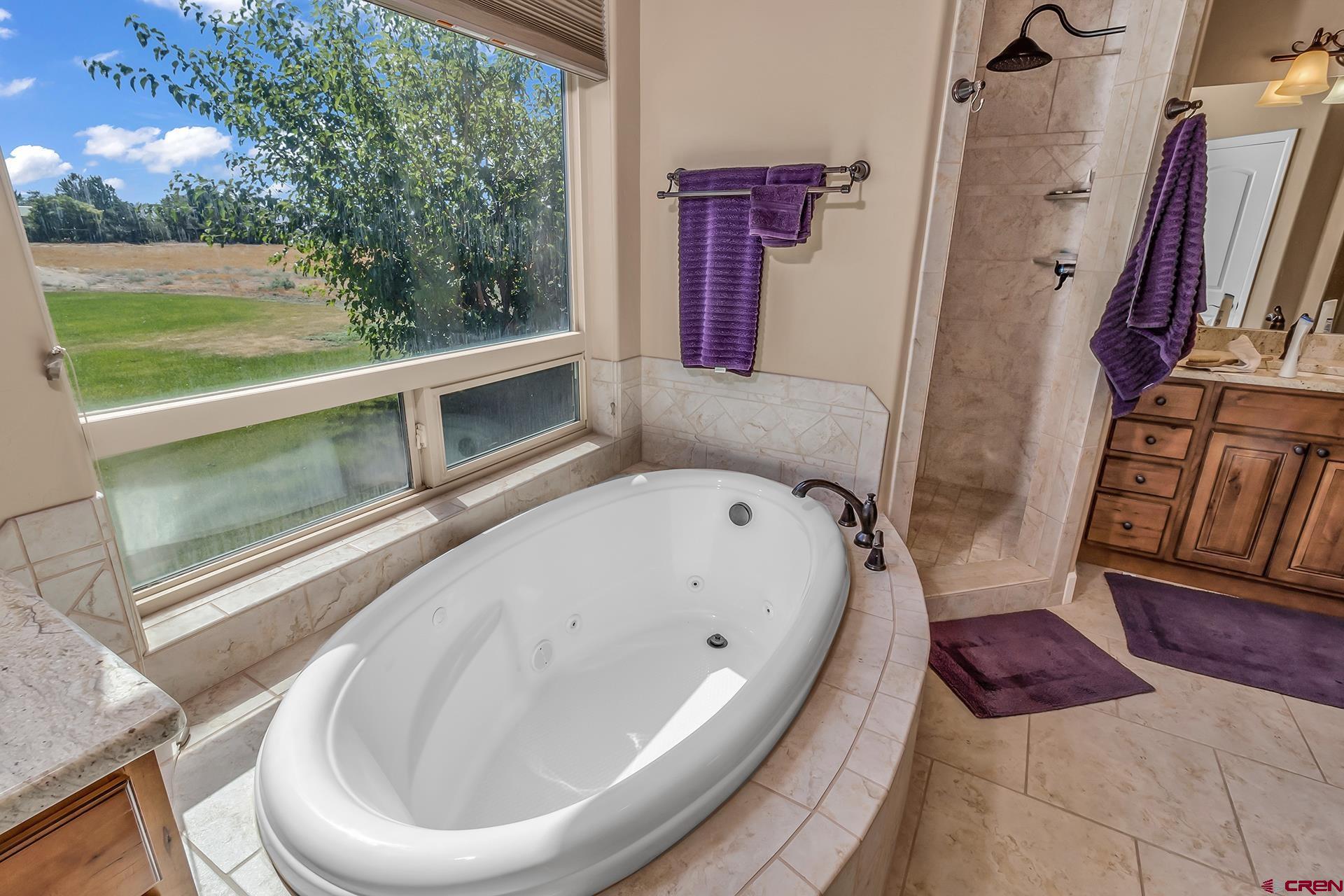 8460 1950th Road Austin, CO 81410 - Photo 14 of 35 a bathroom with a bathtub and a window