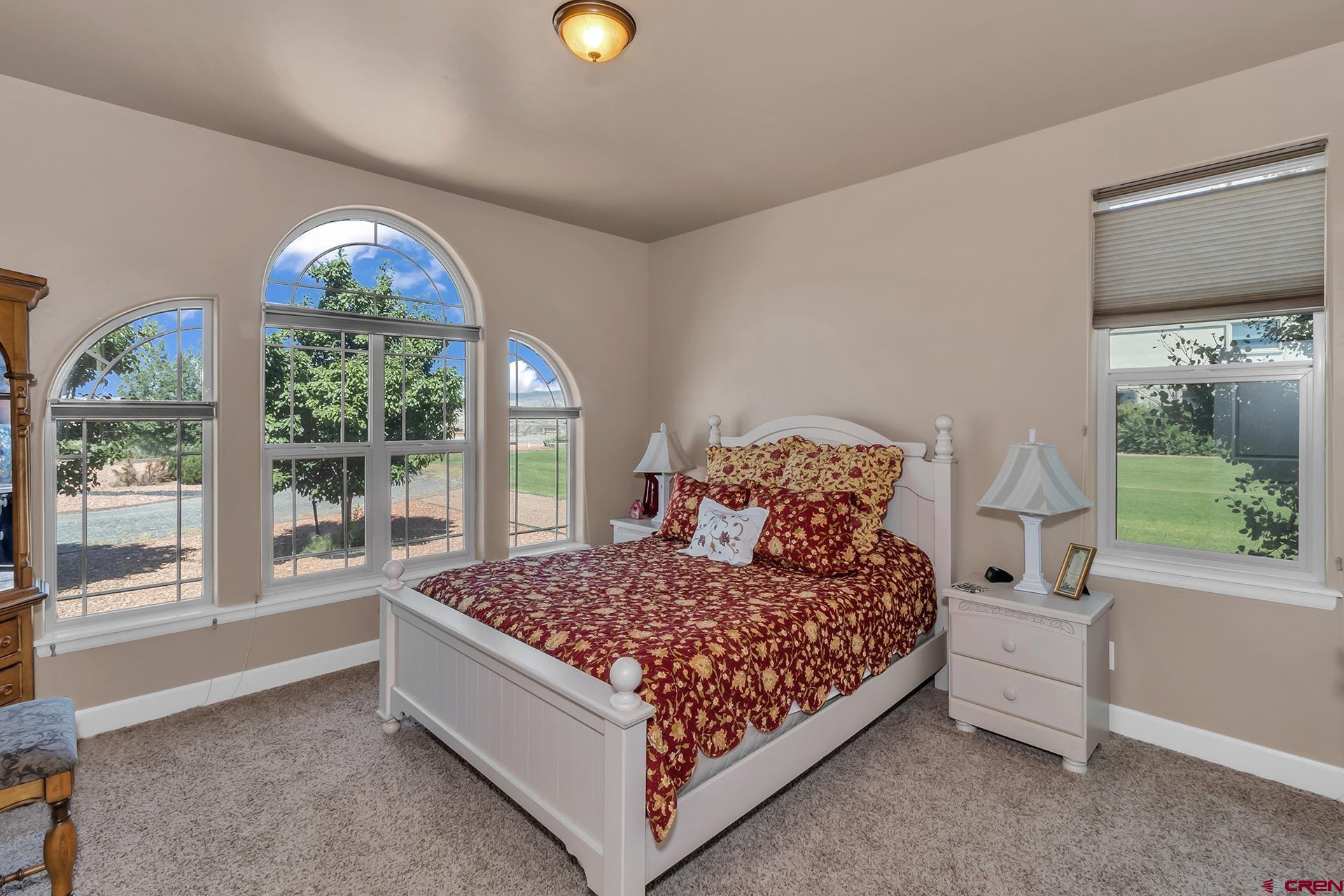 8460 1950th Road Austin, CO 81410 - Photo 16 of 35 a bed sitting in a bedroom next to a window