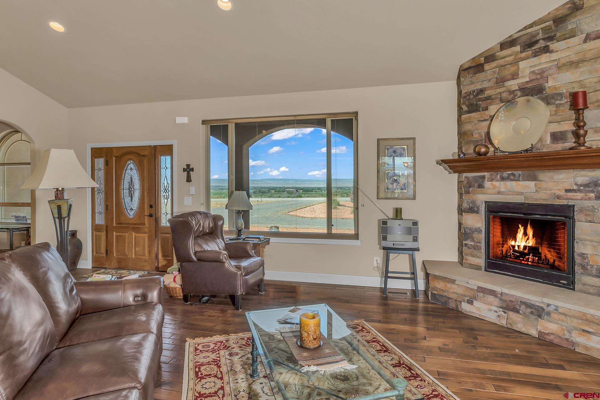 8460 1950th Road Austin, CO 81410 - Photo 3 of 35 a living room with furniture and a fireplace