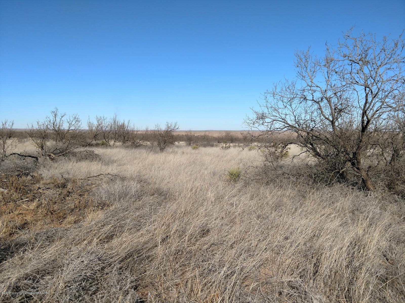 0 Cedar Creek Road Vega, TX 79092 - Photo 3 of 6 a view of a dry yard with trees
