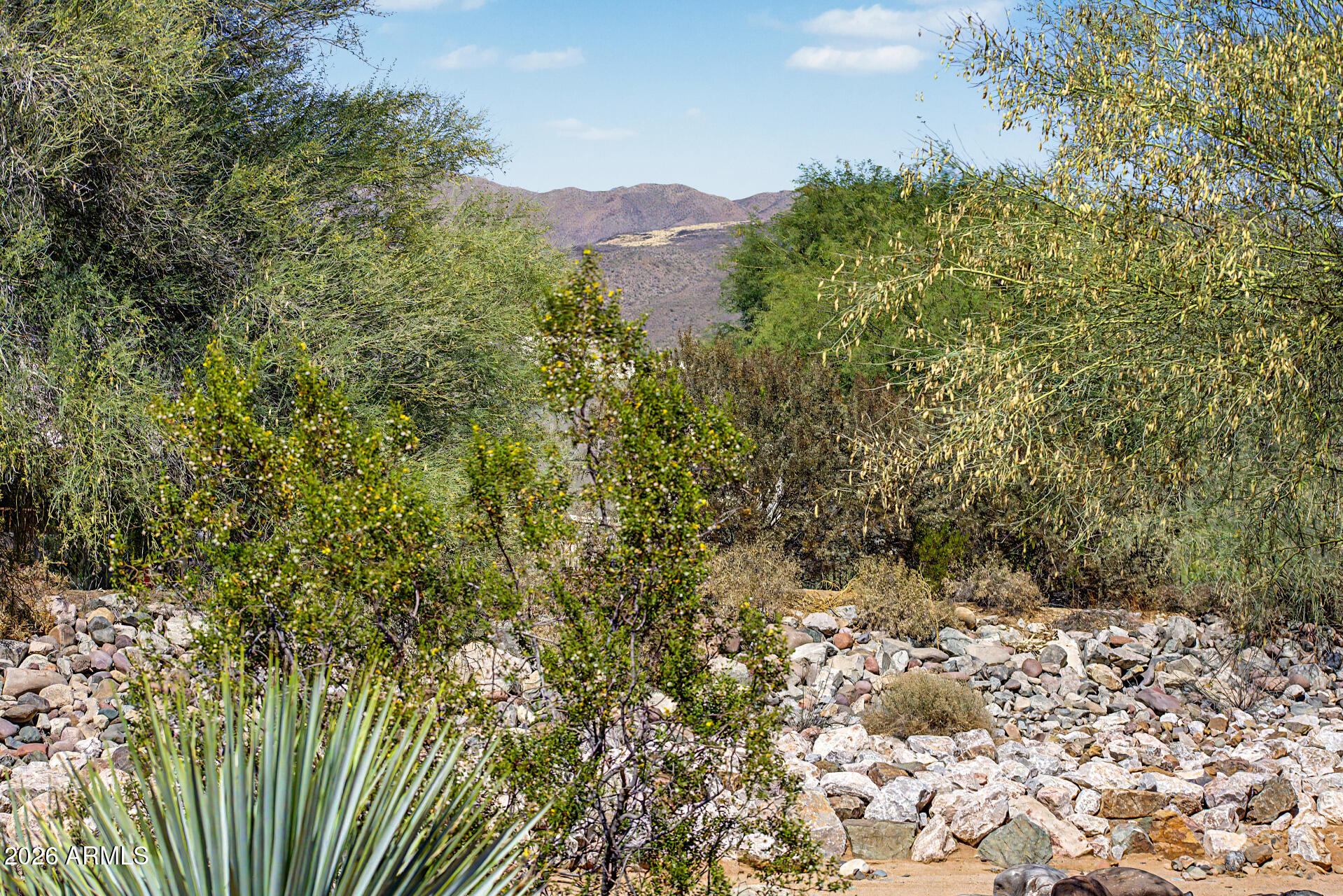 27909 North Quail Spring Road Rio Verde, AZ 85263 - Photo 37 of 52 a view of a yard with a tree