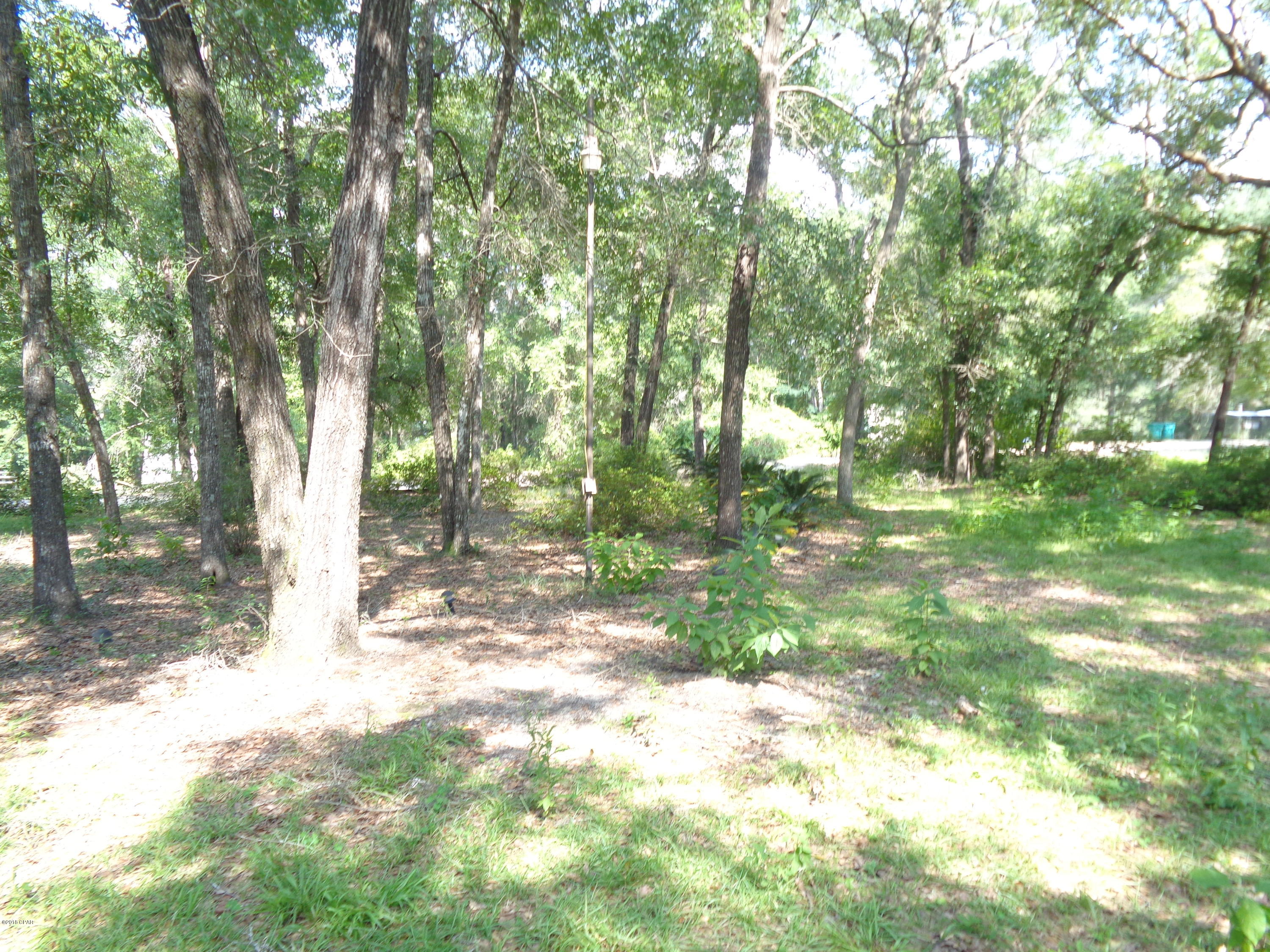 3280 Lucas Lake Road Chipley, FL 32428 - Photo 6 of 22 Gallery Image 6