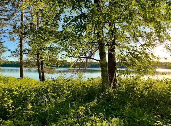 $179,900 | Tbd Variety Lake Drive Northwest, Hackensack, MN 56452