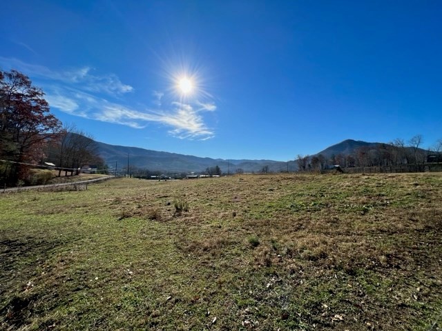 3 Burns Road Sevierville, TN 37862 - Photo 3 of 19