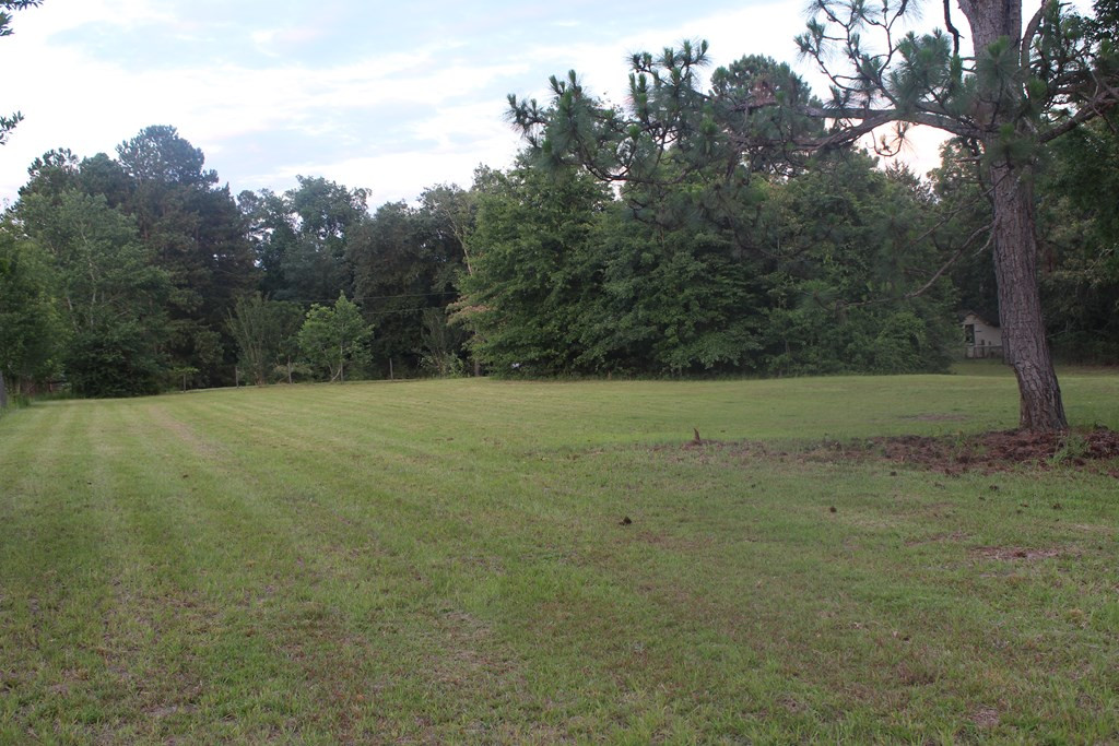 1114 Gray Mare Hollow Road Aiken, SC 29803 - Photo 17 of 27