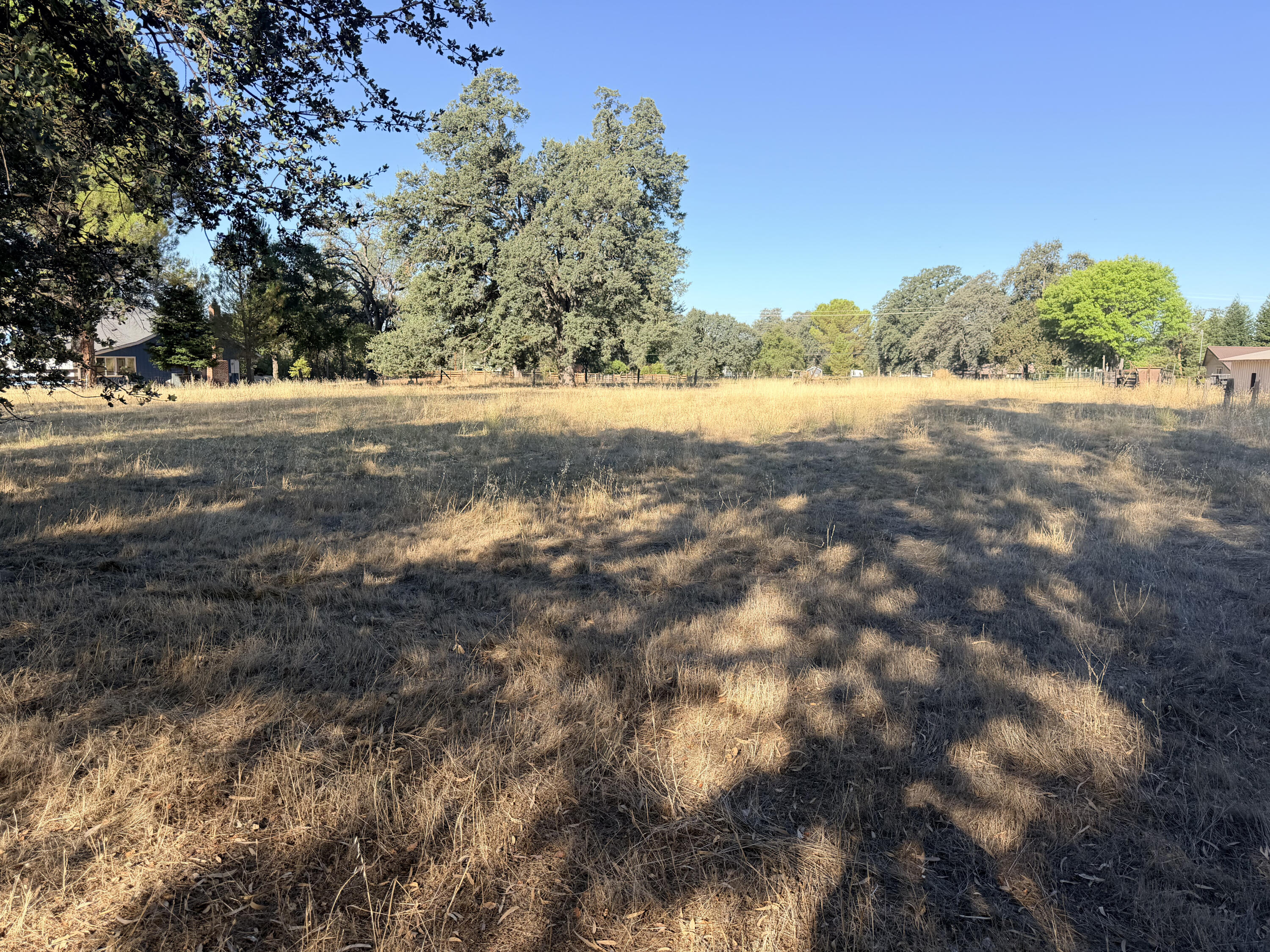 Deschutes Road Palo Cedro, CA 96073 - Photo 8 of 11 Building site
