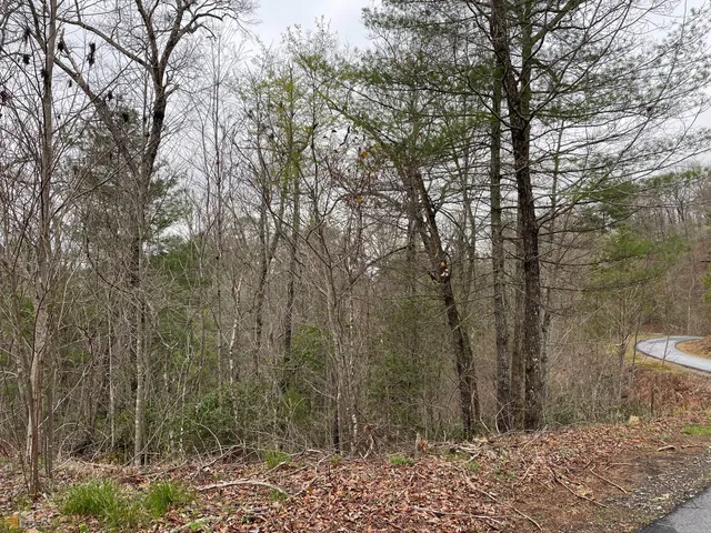 $79,900 | Lot 5 Trillium Heights, Brasstown, NC 28902