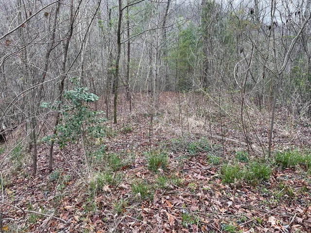 $79,900 | Lot 5 Trillium Heights, Brasstown, NC 28902