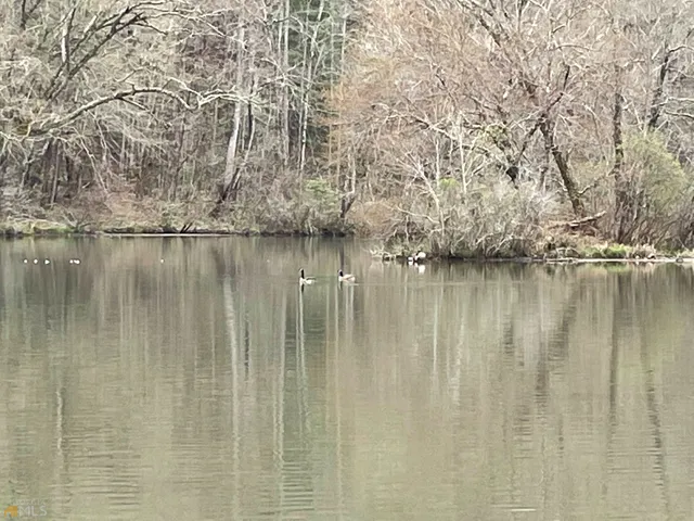 $79,900 | Lot 5 Trillium Heights, Brasstown, NC 28902