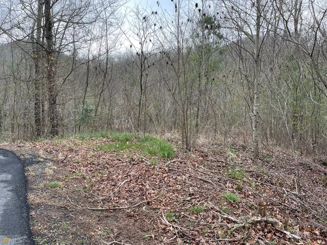 $79,900 | Lot 5 Trillium Heights, Brasstown, NC 28902