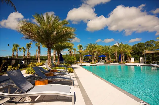 a view of a living room with furniture and a potted plant