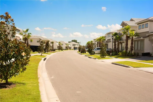 a view of a swimming pool with a slide and palm trees