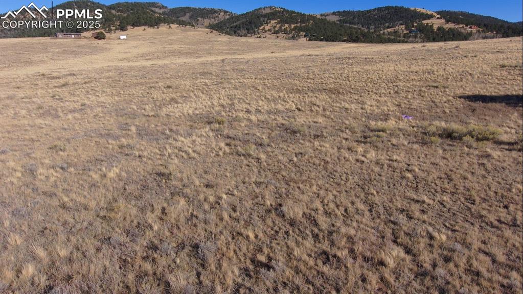 152 Wulstein Way Westcliffe, CO 81252 - Photo 12 of 12 a view of lake with mountain
