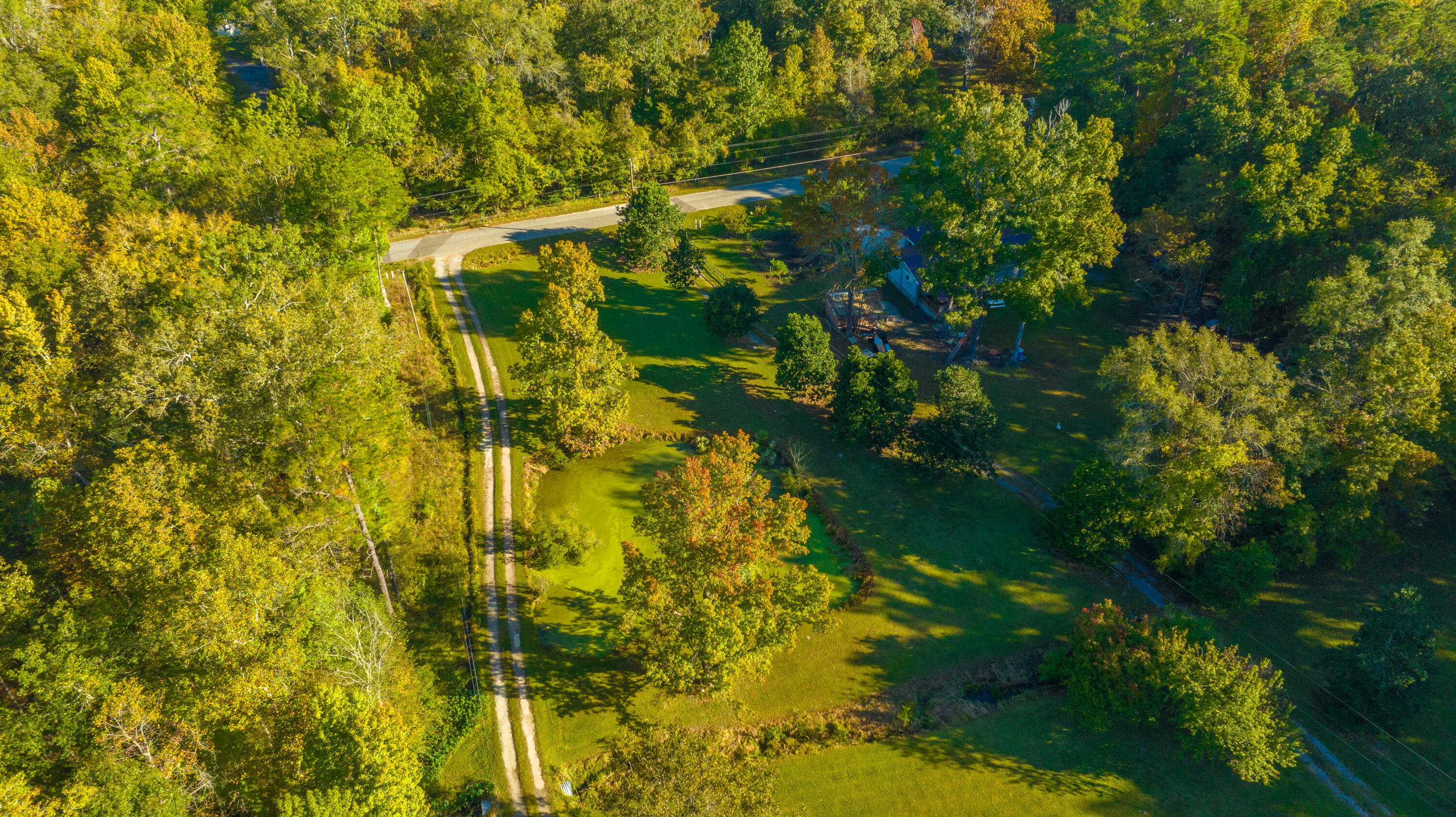 267 Sedgewick Road Summerville, SC 29483 - Photo 39 of 49 323Sedgefield059