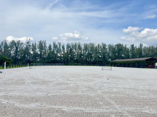 a view of an outdoor space with trees