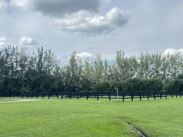 a view of field with tall trees