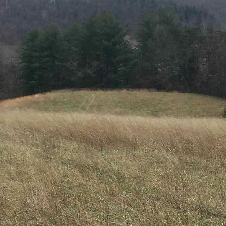 0 Daisy Road Blacksburg, VA 24060 - Photo 23 of 33 Gallery Image 23